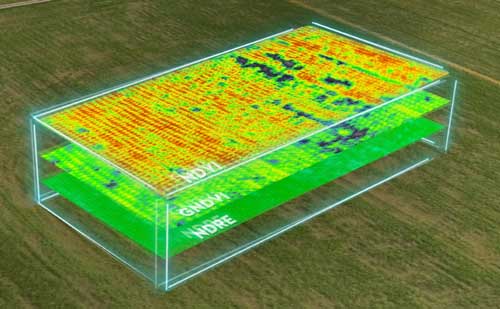Vegetation analysis in DJI Terra