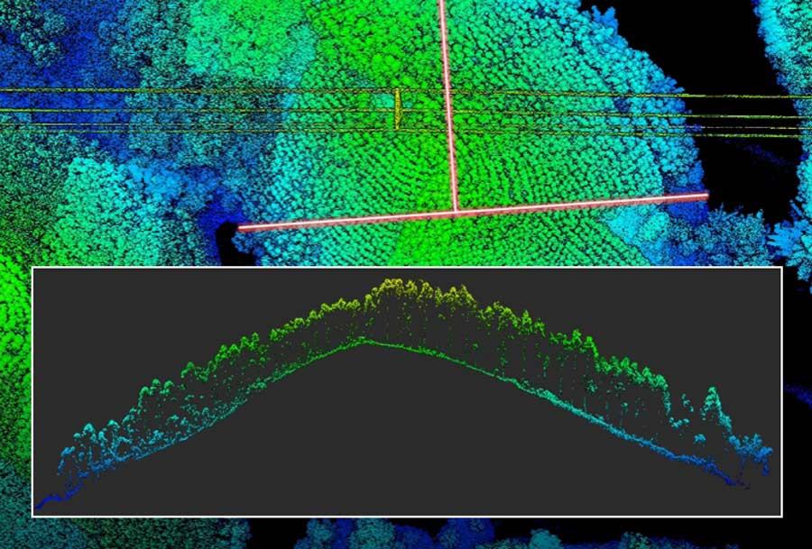 Zenmuse L2 scanning forest canopy for terrain modelling