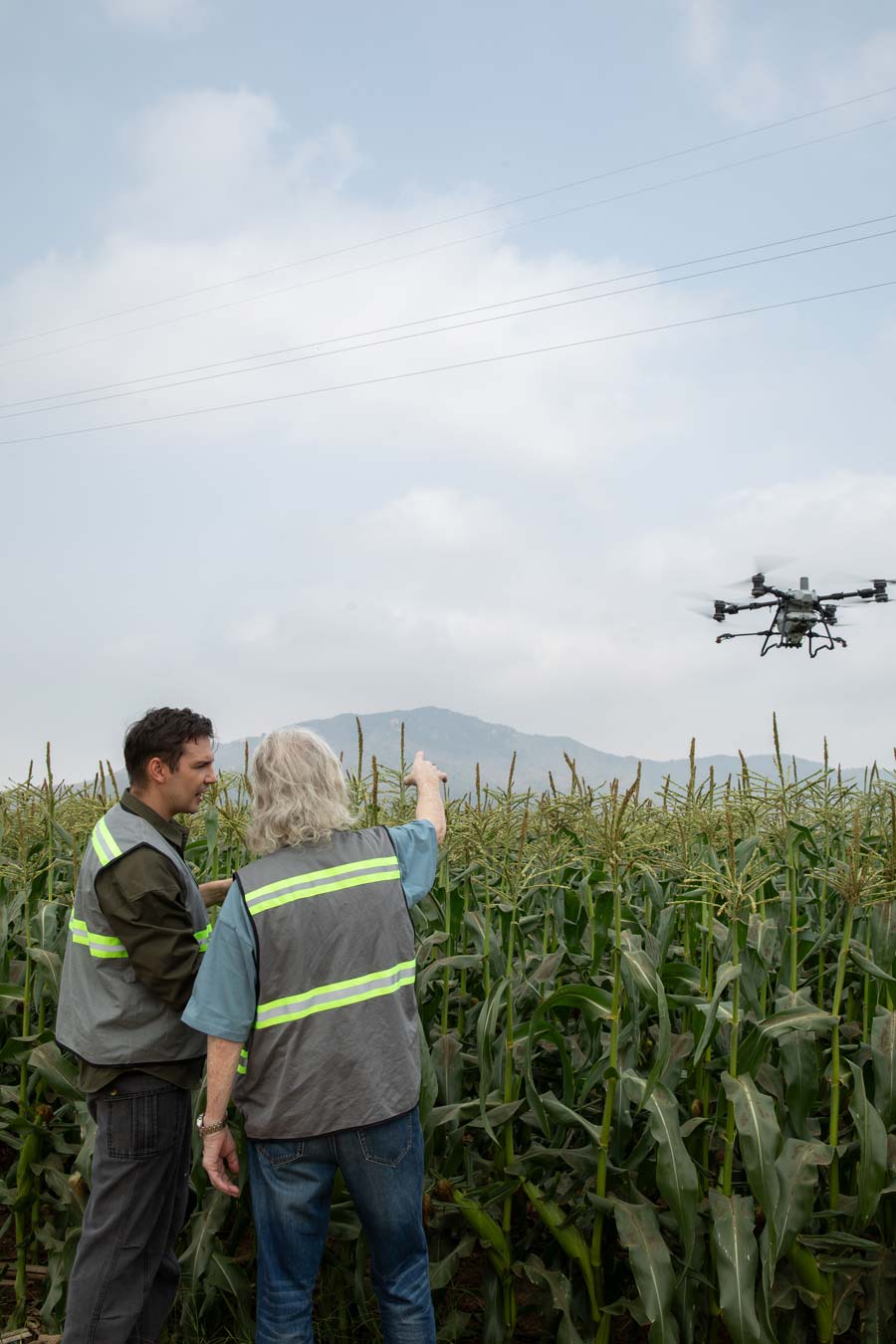 DJI Agras T100 spreading fertiliser over UK fields