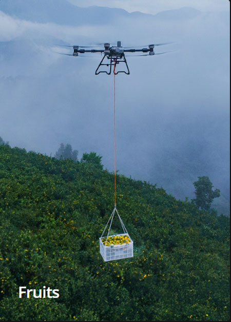 T100 Lift System Orchard Support