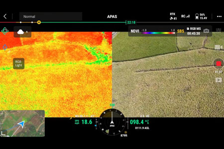 DJI M3M orchard and terrain follow scouting