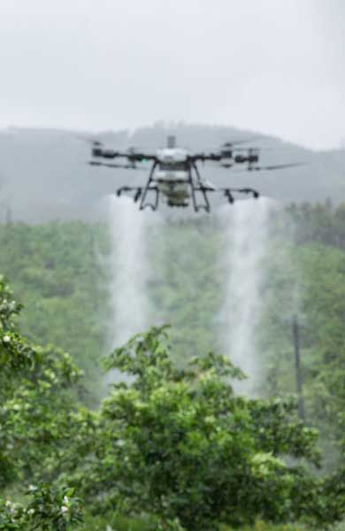 DJI Agras T100 spreading fertiliser over UK fields