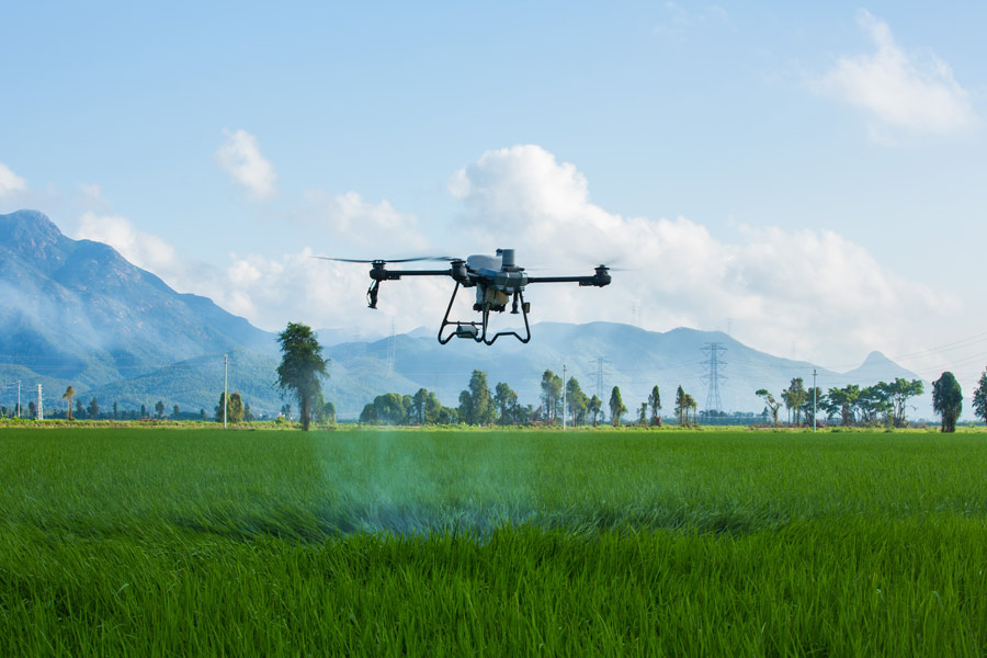 DJI Agras T25P precision spraying drone deployed solo in the field