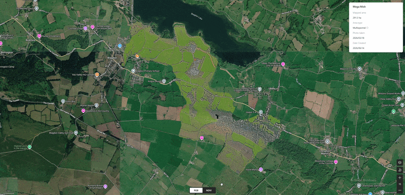 DJI Mavic 3 Multispectral RGB and NDVI orthomosaic mapping project